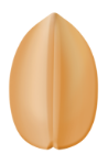 Icon of peanut
