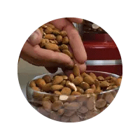 Mega menu company story icon. Hands putting almonds into a bowl