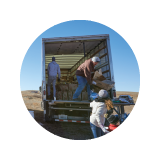 Icon thumbnail of workers moving parcels out of a big truck on a sunny day