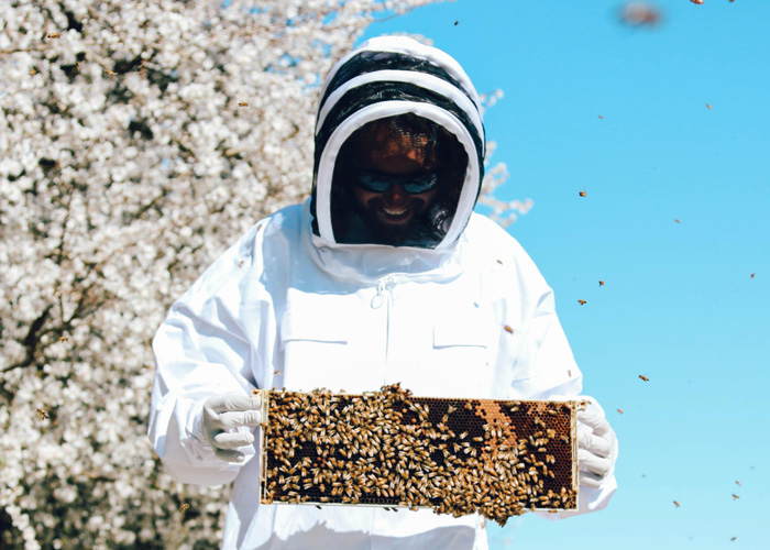 Justin holding a honey bee panel in bee suit