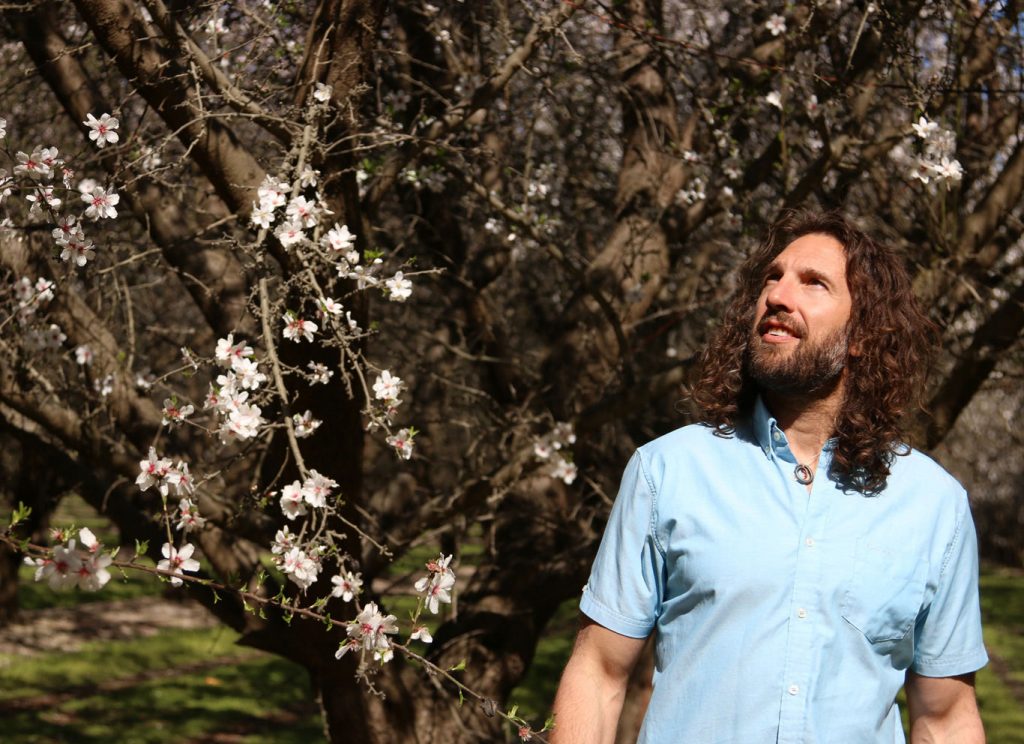 Justin Gold looking up at an almond blossom tree. Wearing a light blue button up shirt.